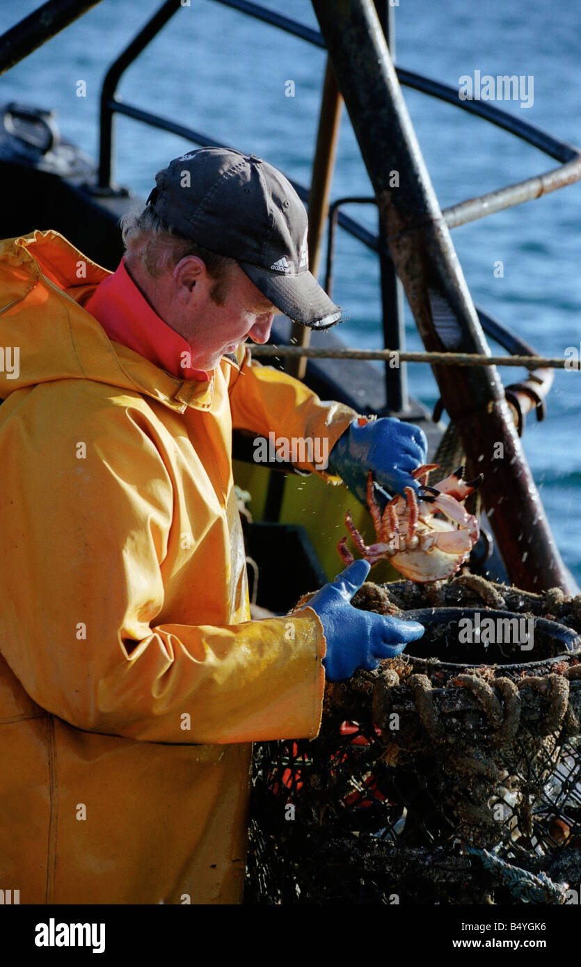 Attività di pesca del granchio off costa sud-ovest di Devon England Regno Unito Foto Stock