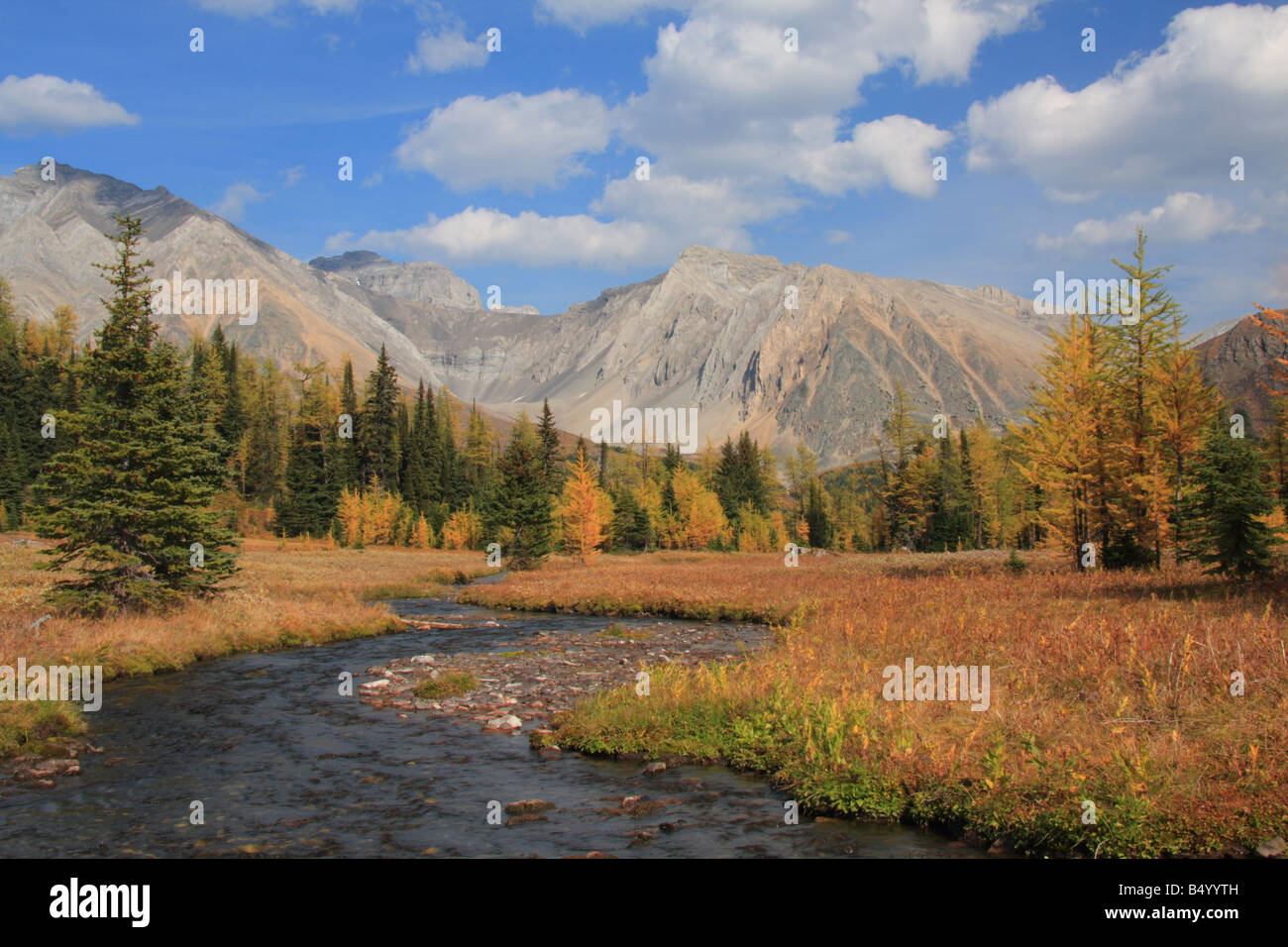 Highwood prati sentiero in autunno, Kananaskis Country, Alberta Foto Stock