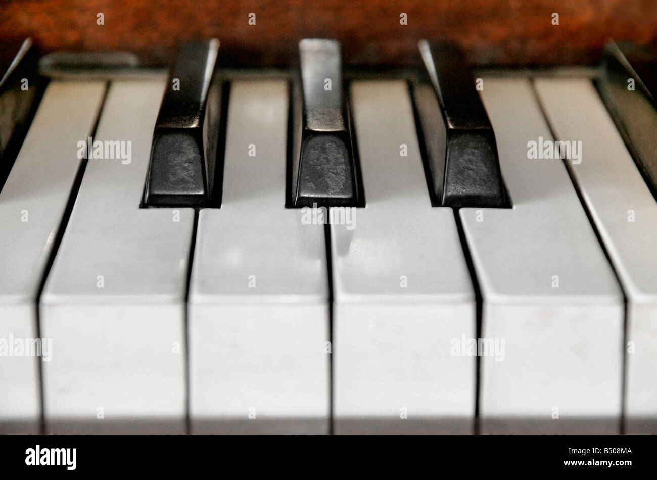 Una chiusura di tasti di pianoforte. Foto Stock