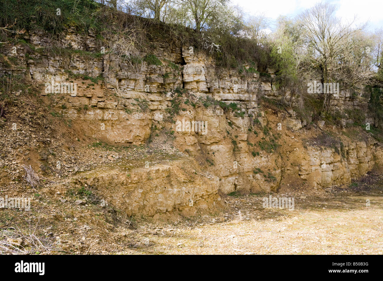 Stony Furlong, un vecchio Cotswold pietra di cava e taglio ferroviarie nelle vicinanze Chedworth, Gloucestershire Foto Stock