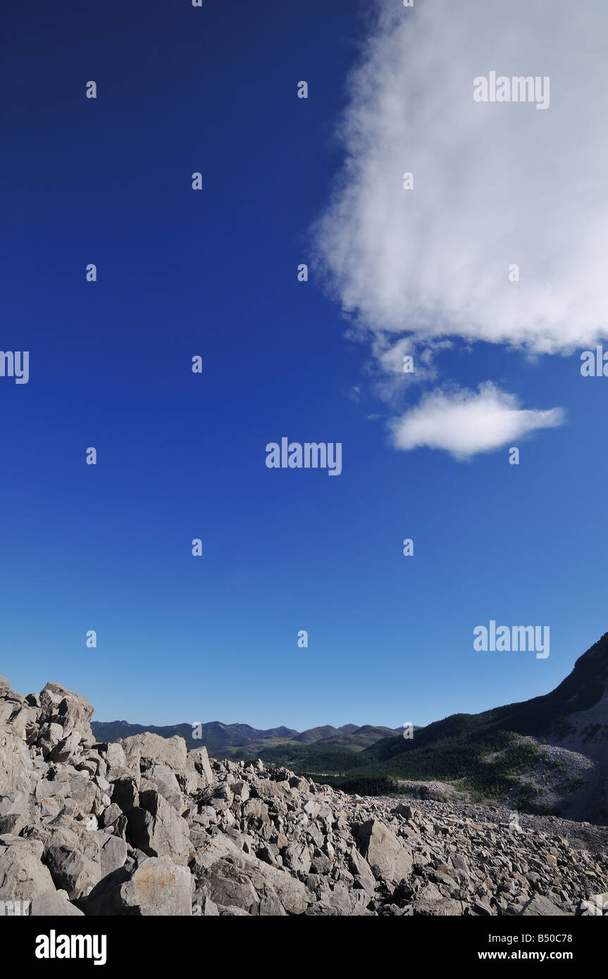 Diapositiva di roccia, Crowsnest Pass, Frank diapositiva, Turtle Mountain, Alberta, Canada, America del Nord. Foto Stock