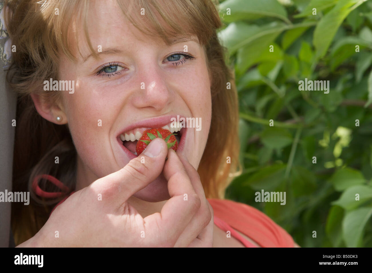 Ragazza giovane ottengono alimentati con una fragola - Mädchen wird mit einer Erdbeere gefüttert Foto Stock