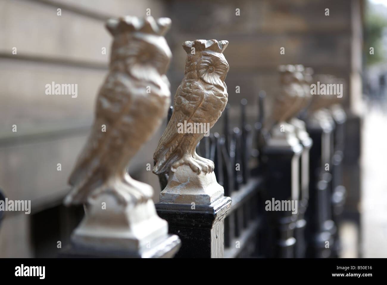 Leeds gufo reale Foto Stock