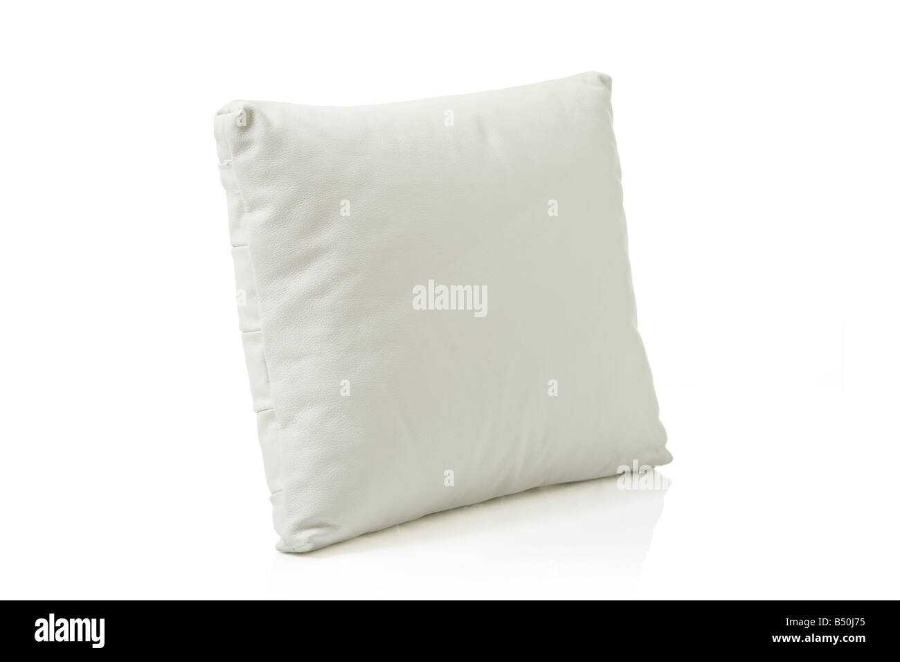 Bianco cuscini in pelle Foto Stock