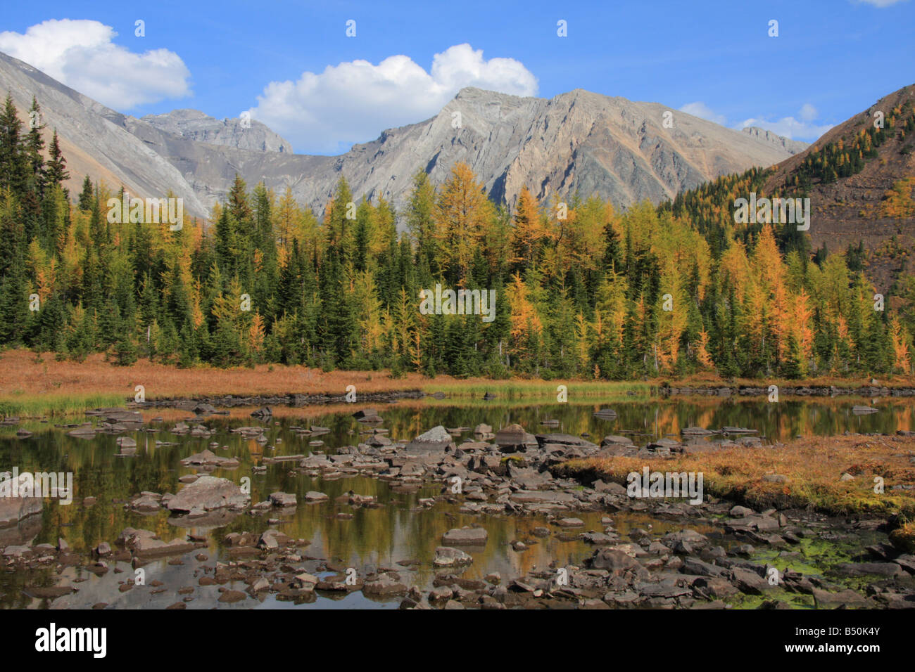 Rocky tarn sui prati Highwood trail, Kananaskis Country, Alberta Foto Stock