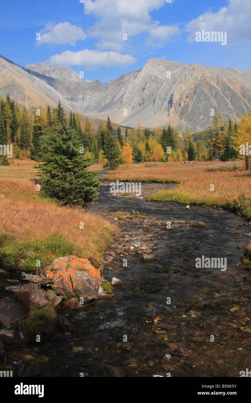 Highwood prati sentiero in autunno, Kananaskis Country, Alberta Foto Stock
