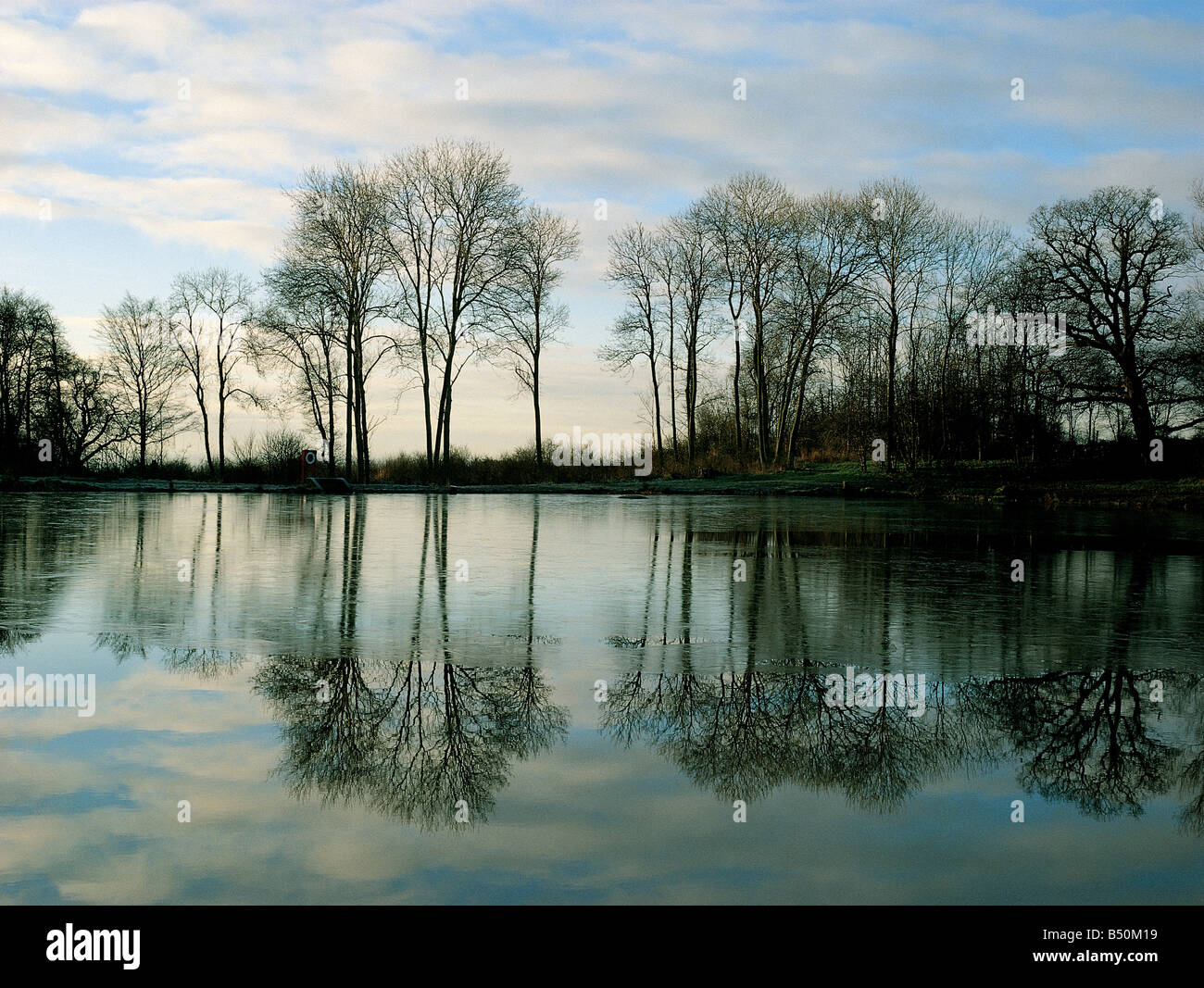 Paesaggio invernale con alberi e lago ghiacciato Foto Stock