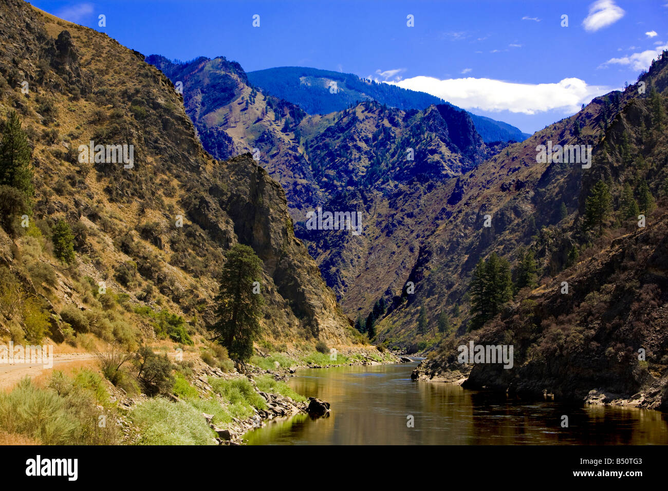Salmon River Canyon Foto Stock