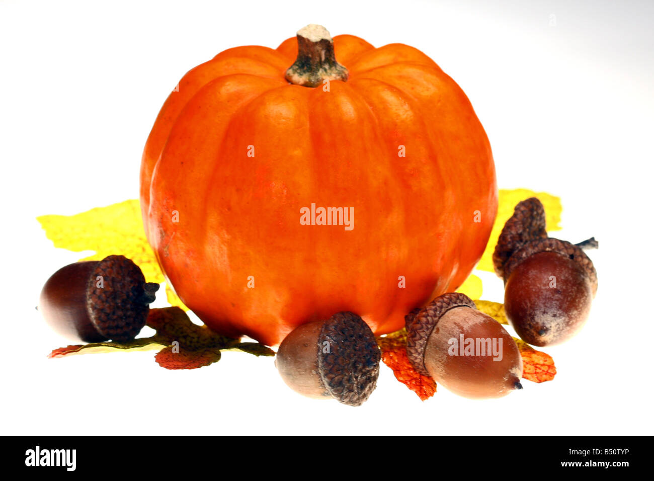 Halloween decorazioni di autunno Foto Stock