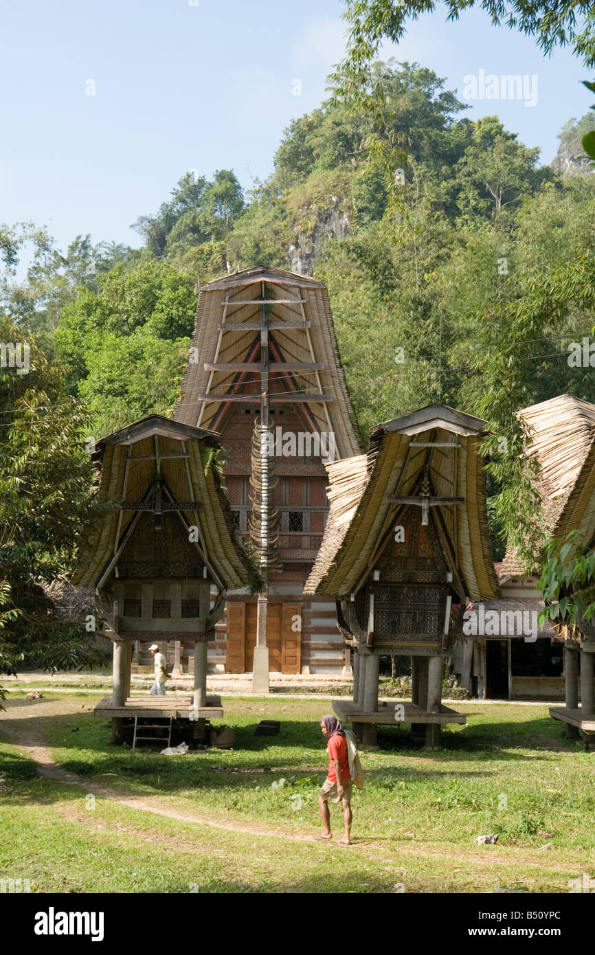 Un'ancestrale Torajan casa con due fienili di riso (Sulawesi - Indonesia). Une Maison du pays Toraja avec deux greniers à riz. Foto Stock