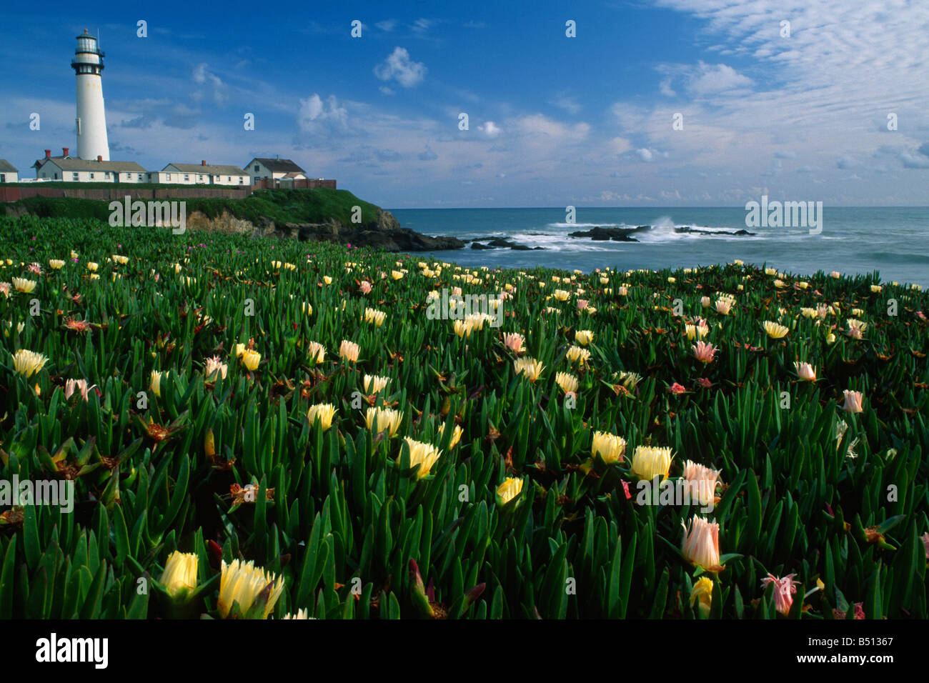 Pigeon Point Lighthouse a Ano Nuevo Riserva Statale California USA Foto Stock