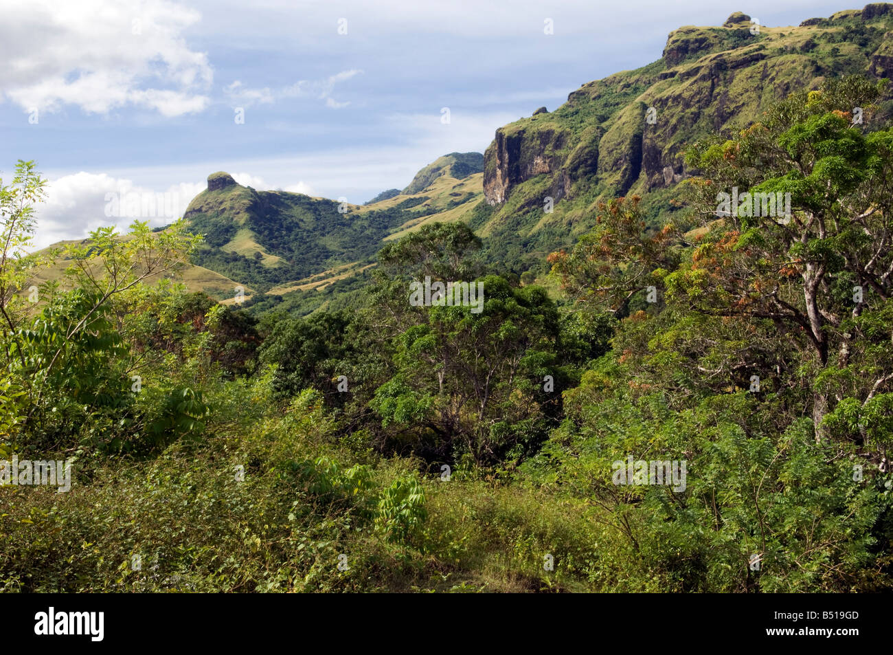 Vegetazione tropicale, Nausori Highlands, Viti Levu, Isole Figi Foto Stock