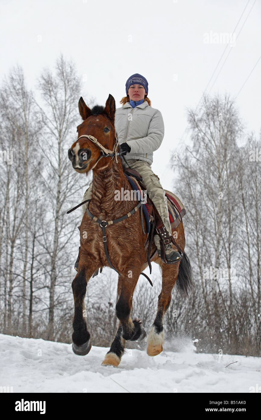 L'inverno a cavallo corsa troppo Foto Stock