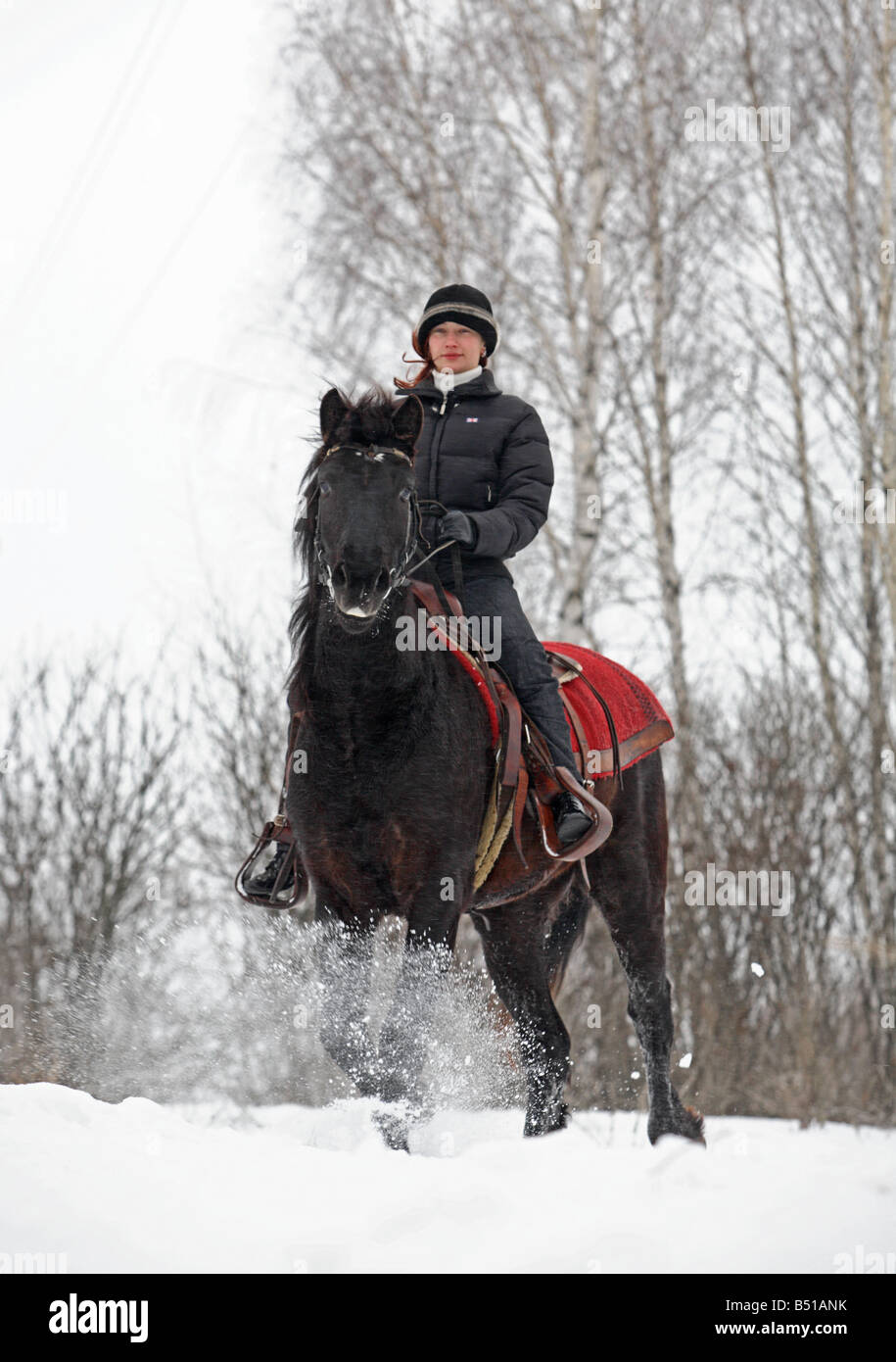 L'inverno viaggi a cavallo Foto Stock