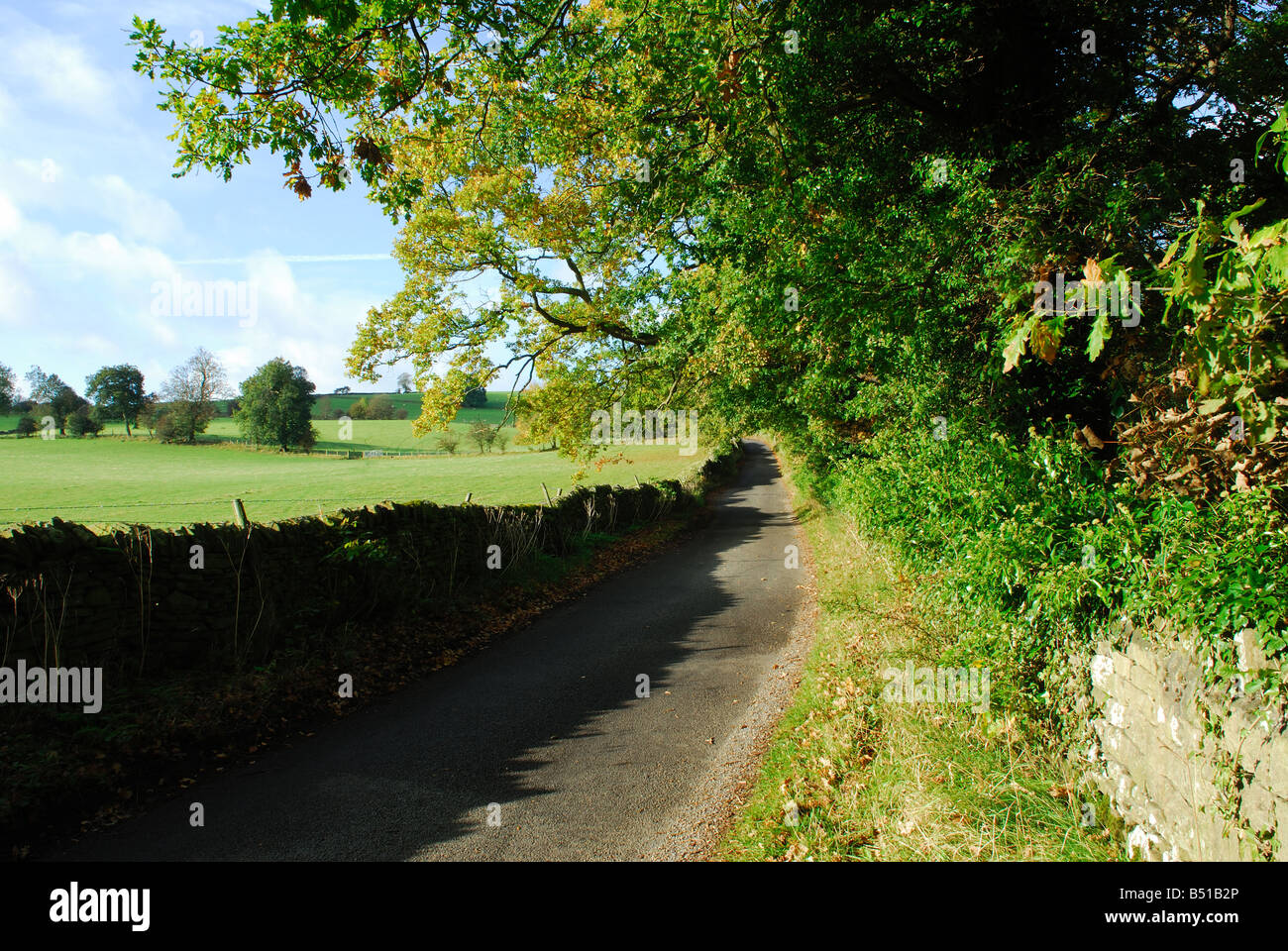 Via unica strada. Foto Stock