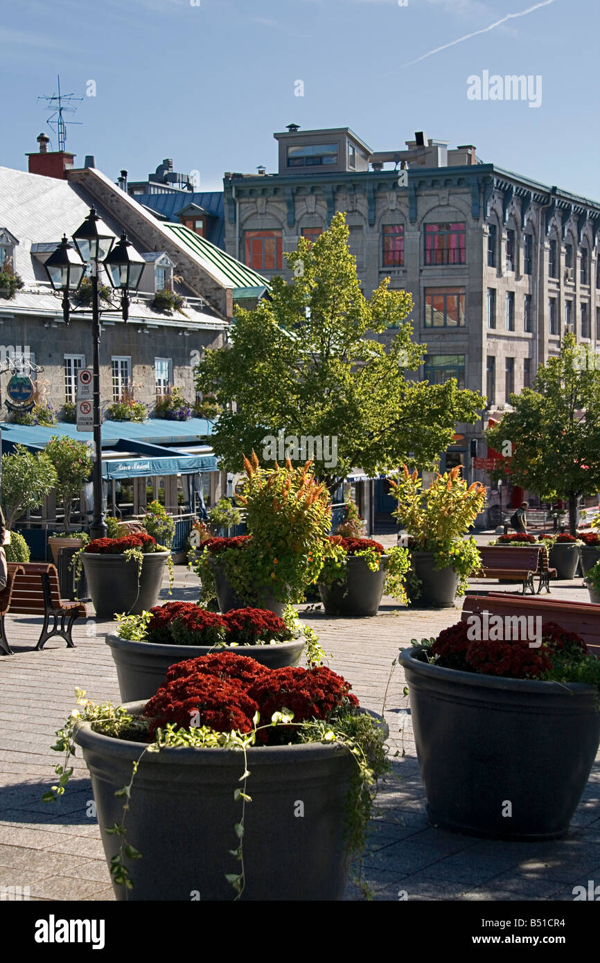 Posizionare Jacques Cartier Vieux Quebec Montreal Canada Foto Stock