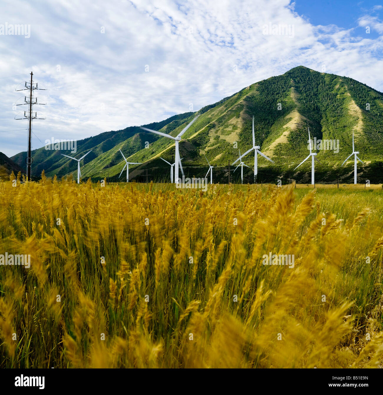 Mulino a vento farm in un canyon Foto Stock
