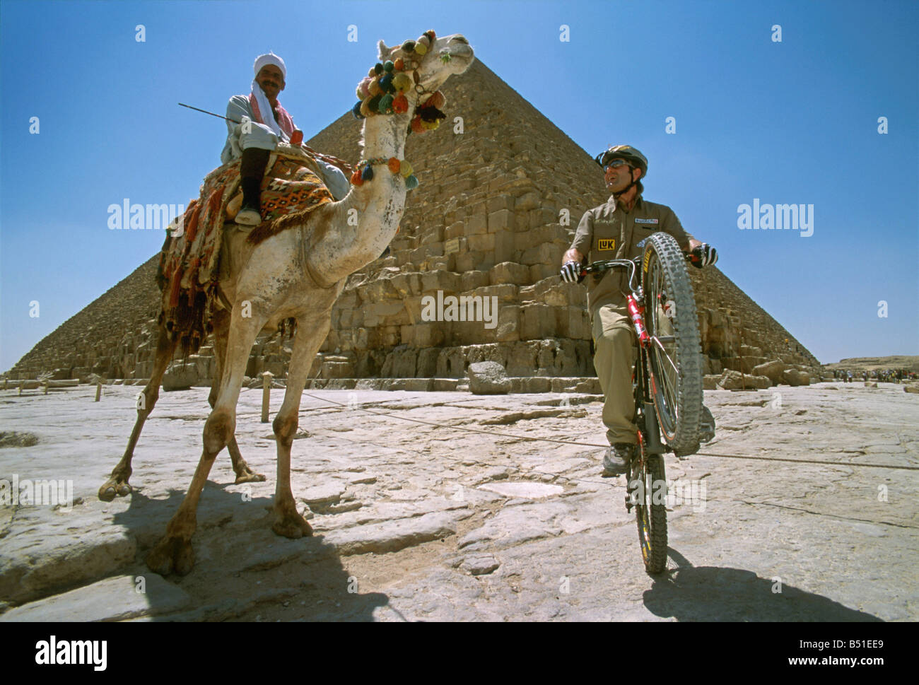 Campione del mondo di mountain biker Hans Rey con cammello presso le Piramidi di Giza Plateau Cairo Egitto Foto Stock