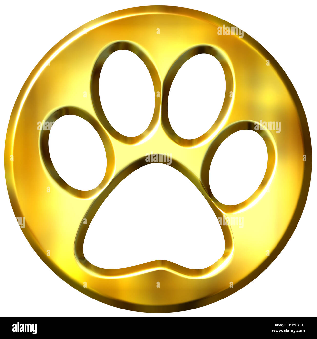 3d golden incorniciato cat print Foto Stock