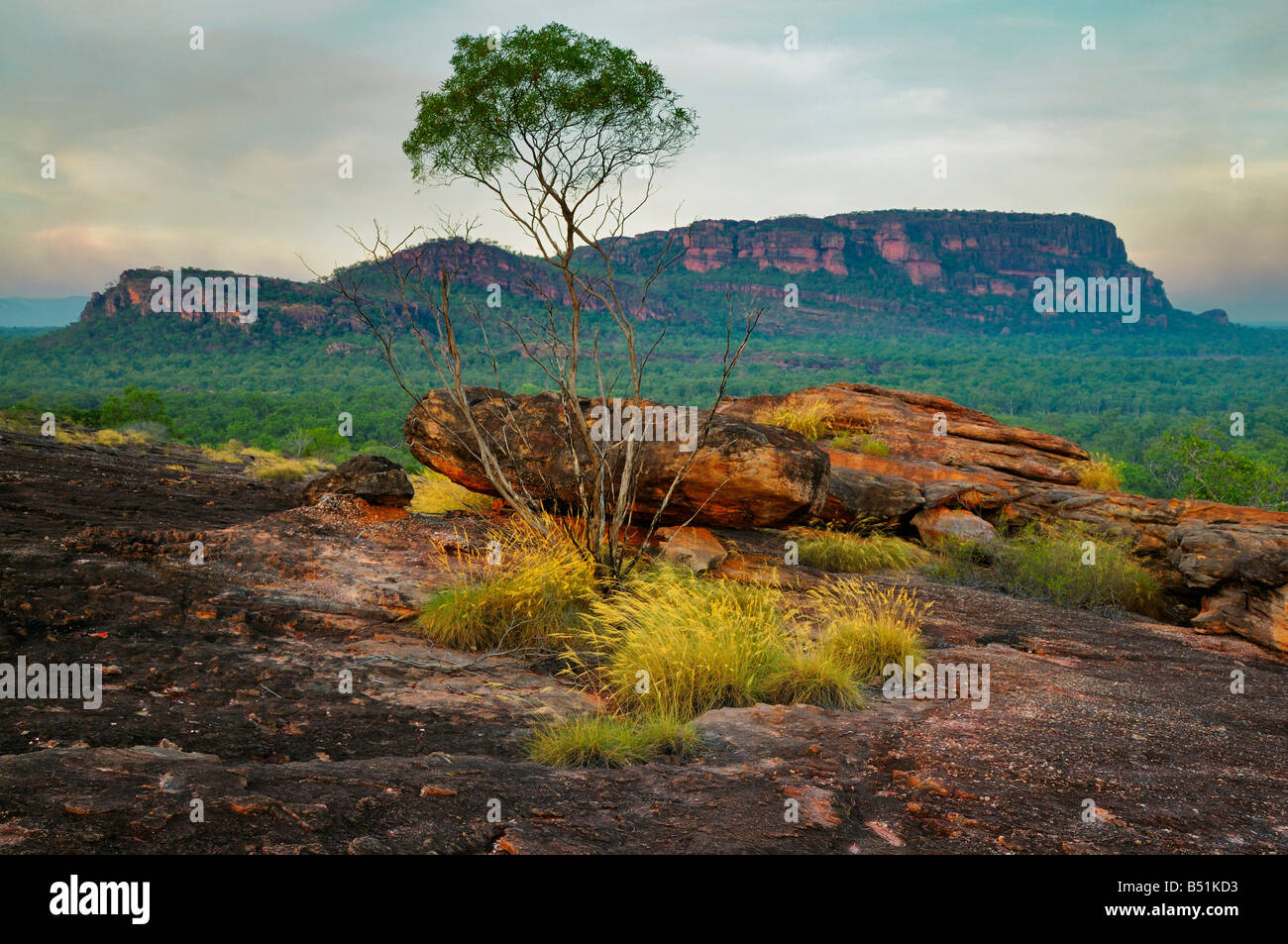 Nourlangie Rock, il Parco Nazionale Kakadu, Territorio del Nord, l'Australia Foto Stock