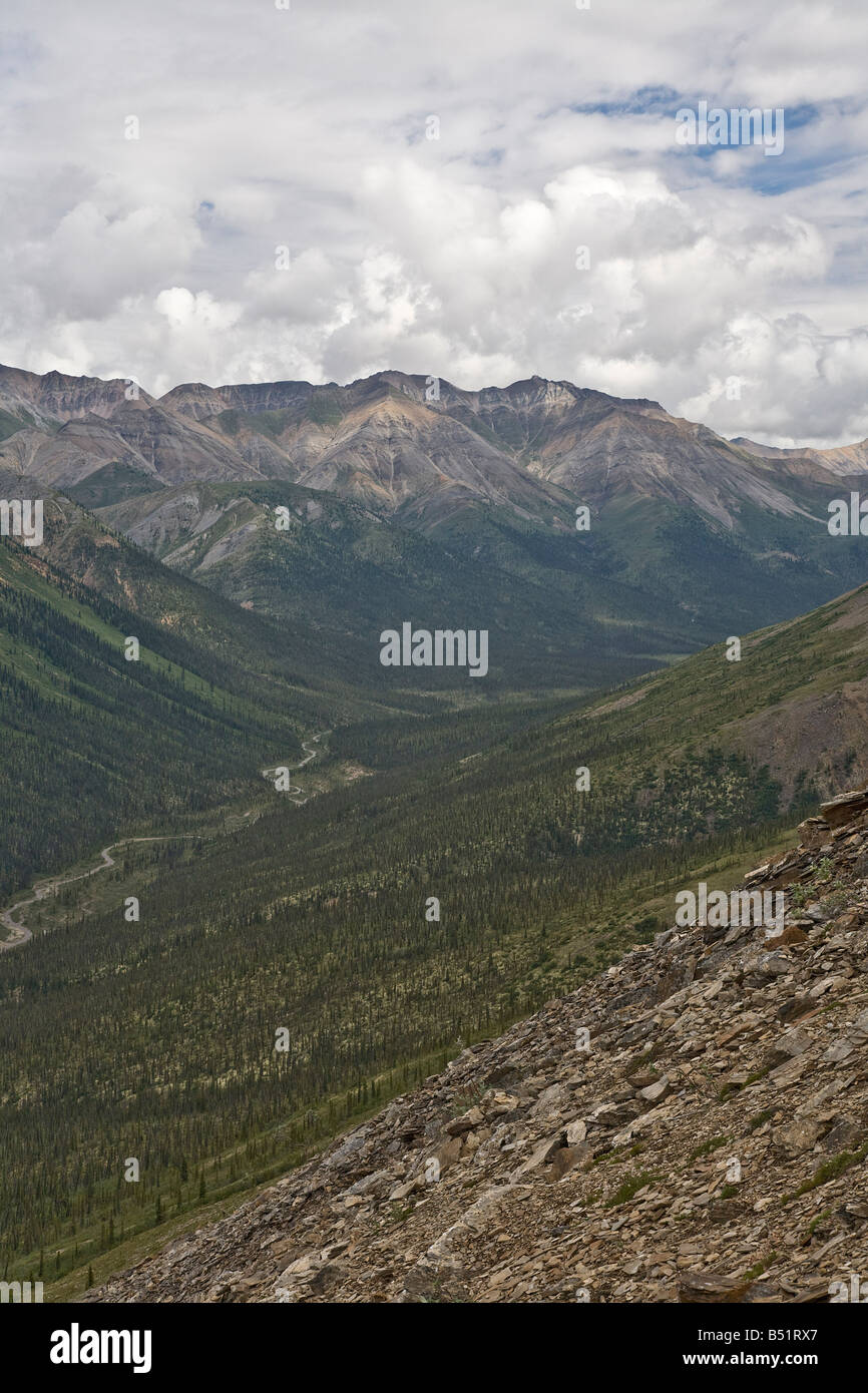 Pinguicula Creek, Yukon, Canada Foto Stock