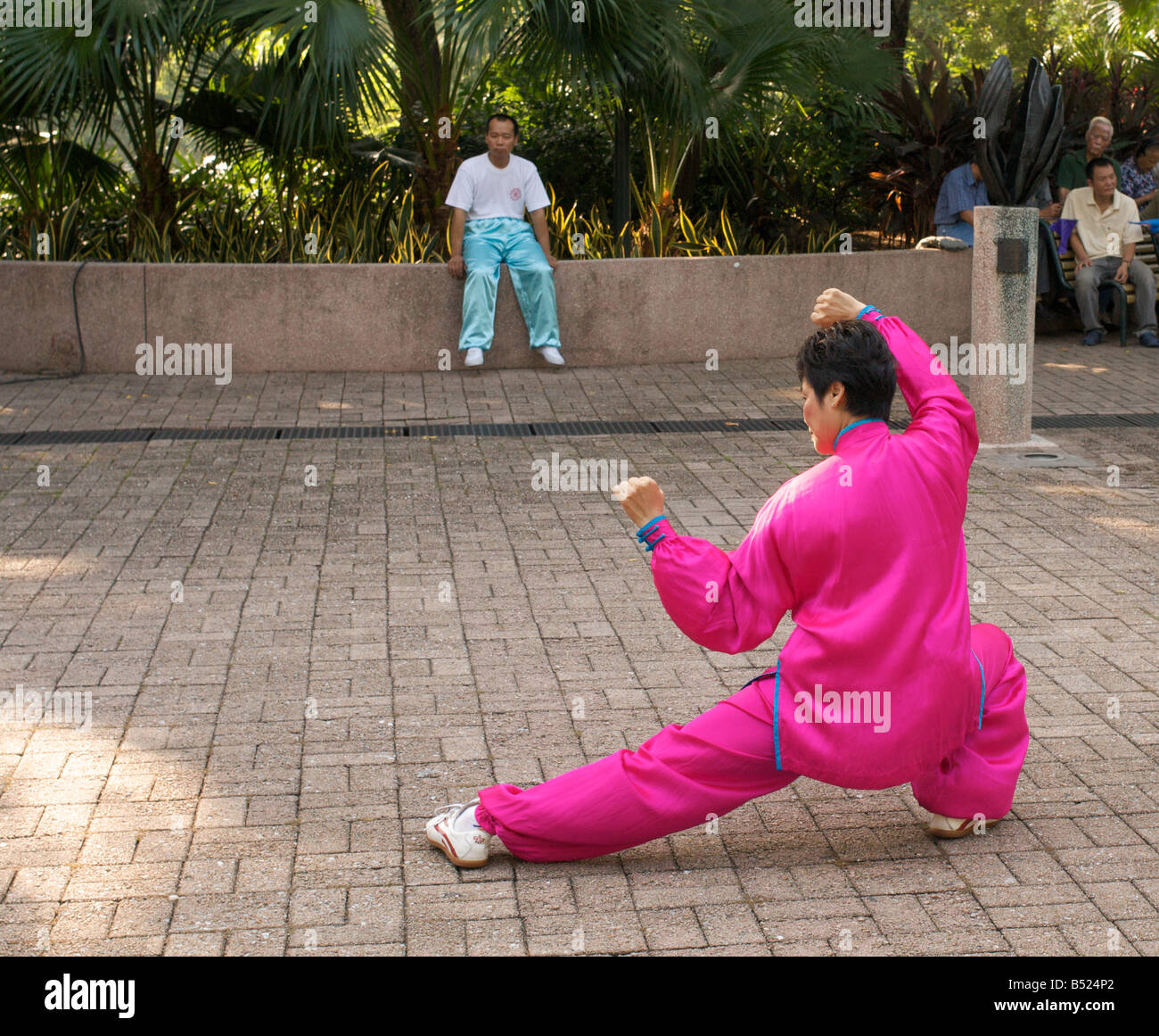 Tai chi dimostrazione al Parco di Kowloon, Kowloon, Hong Kong Foto Stock