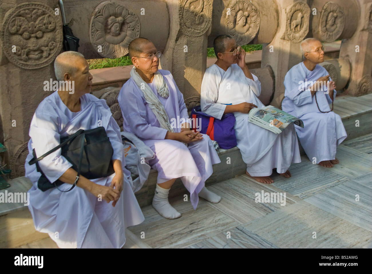 I monaci buddisti pregano sotto il Bodhi tree in Bodhgaya,, stato del Bihar , India. Foto Stock