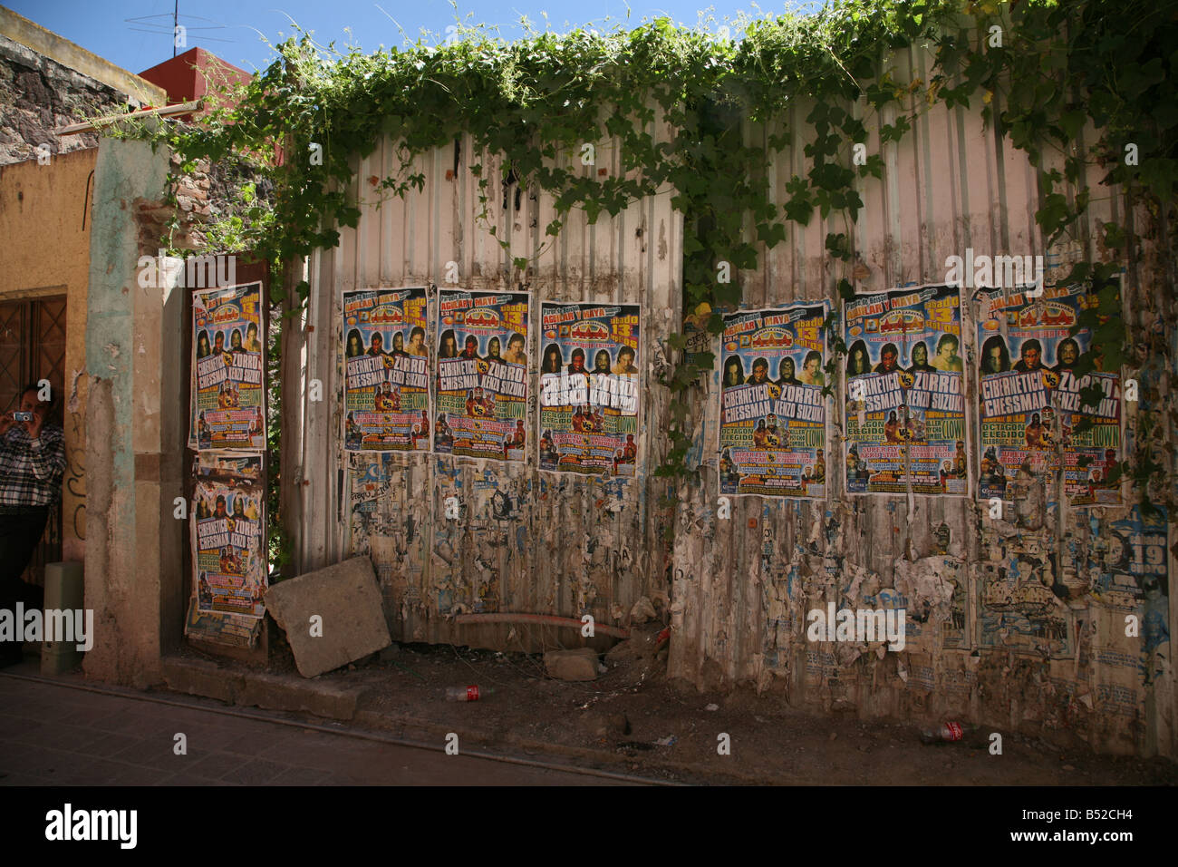 Street manifesti pubblicitari in Guanajuato Messico parete in alluminio con vitigni che cresce su spazi Publc Pubblicità Arte Urbana Foto Stock