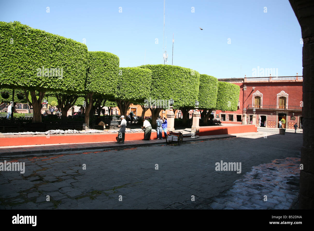 El Jardin in San Miguel De Allende Messico alberi curati El Centro Village Center Street life città coloniale il colonialismo Foto Stock