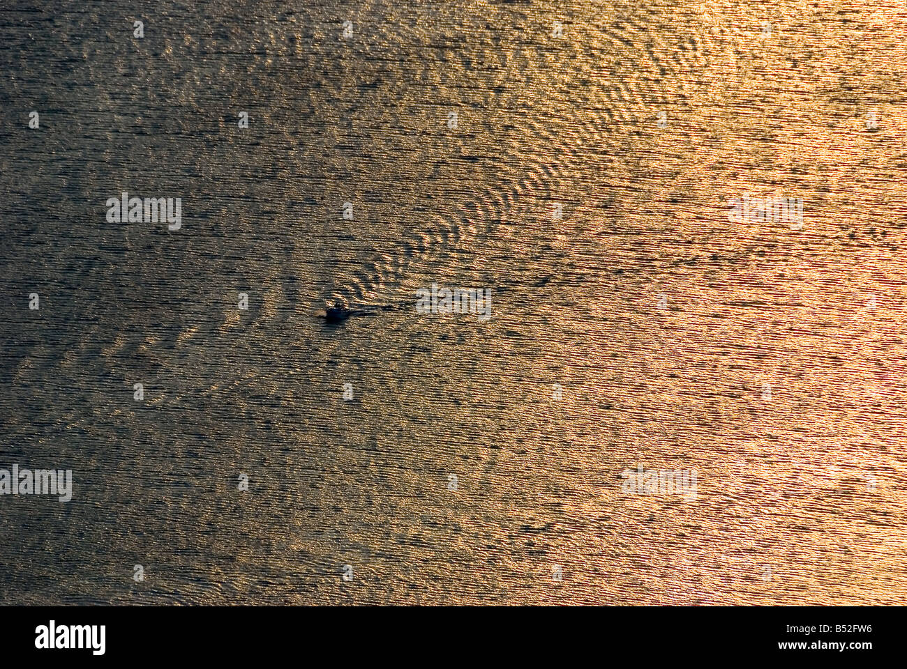 Sun riflessioni sul mare con una barca onde di coda Foto Stock