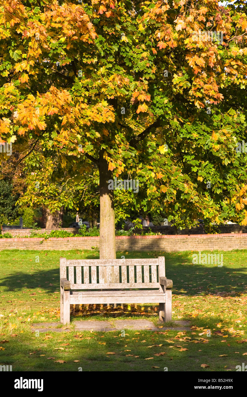 Banco di vuoto e colori autunnali a Wimbledon Park SW19 London Regno Unito Foto Stock