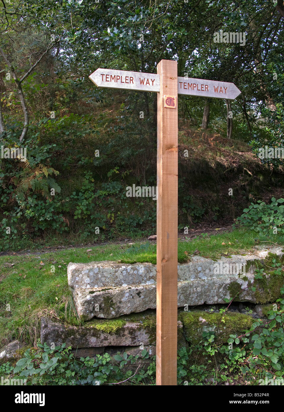Templer modo Signpost, Dartmoor, REGNO UNITO Foto Stock