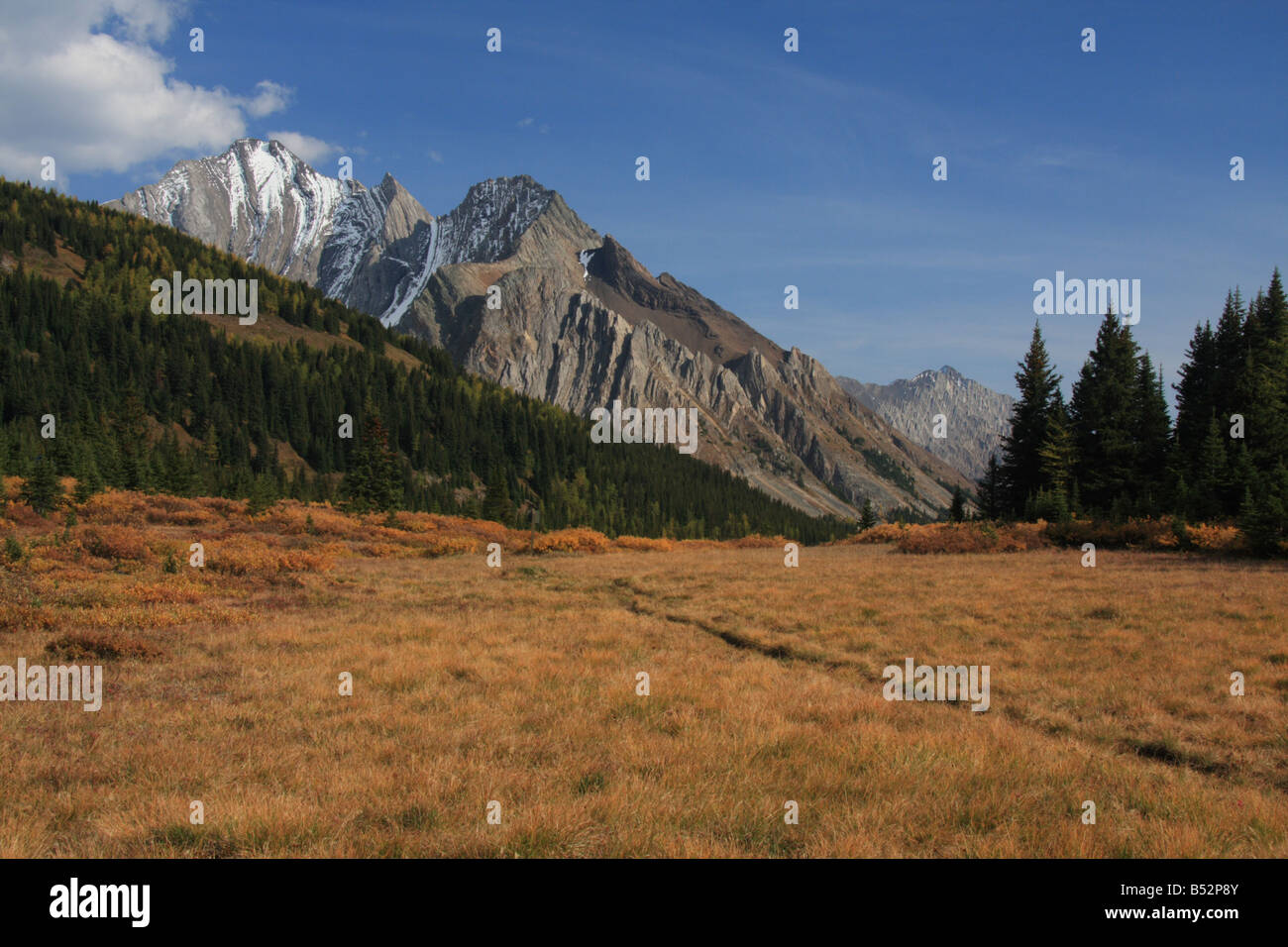 Highwood Pass, Kananaskis country, Alberta Foto Stock