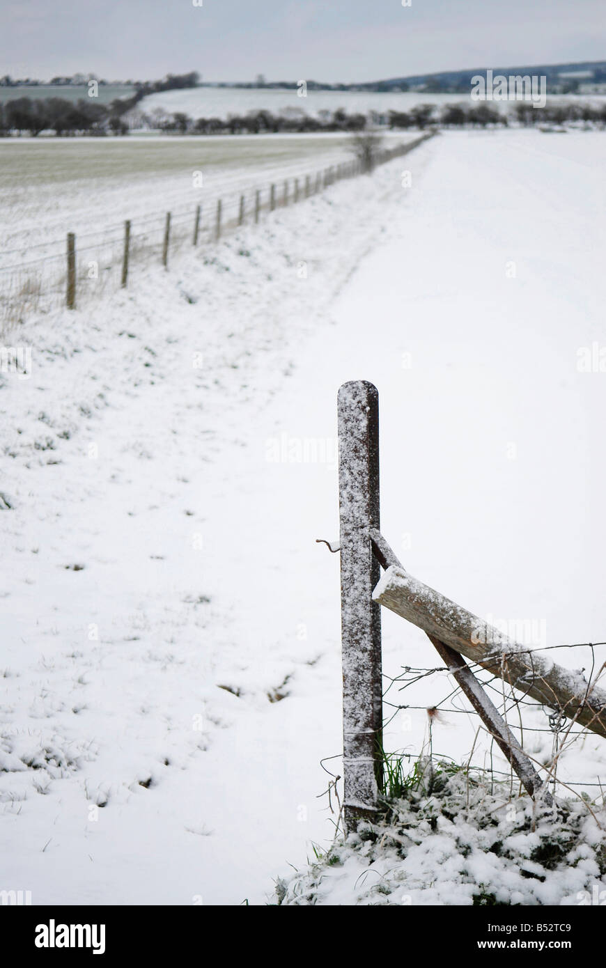 Fencepost e campo sotto luce neve Foto Stock