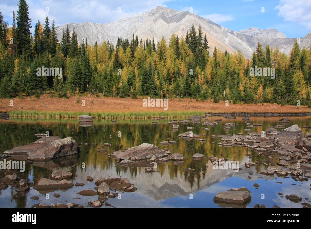 Riflessioni di rocky tarn sui prati Highwood trail, Kananaskis Country, Alberta Foto Stock