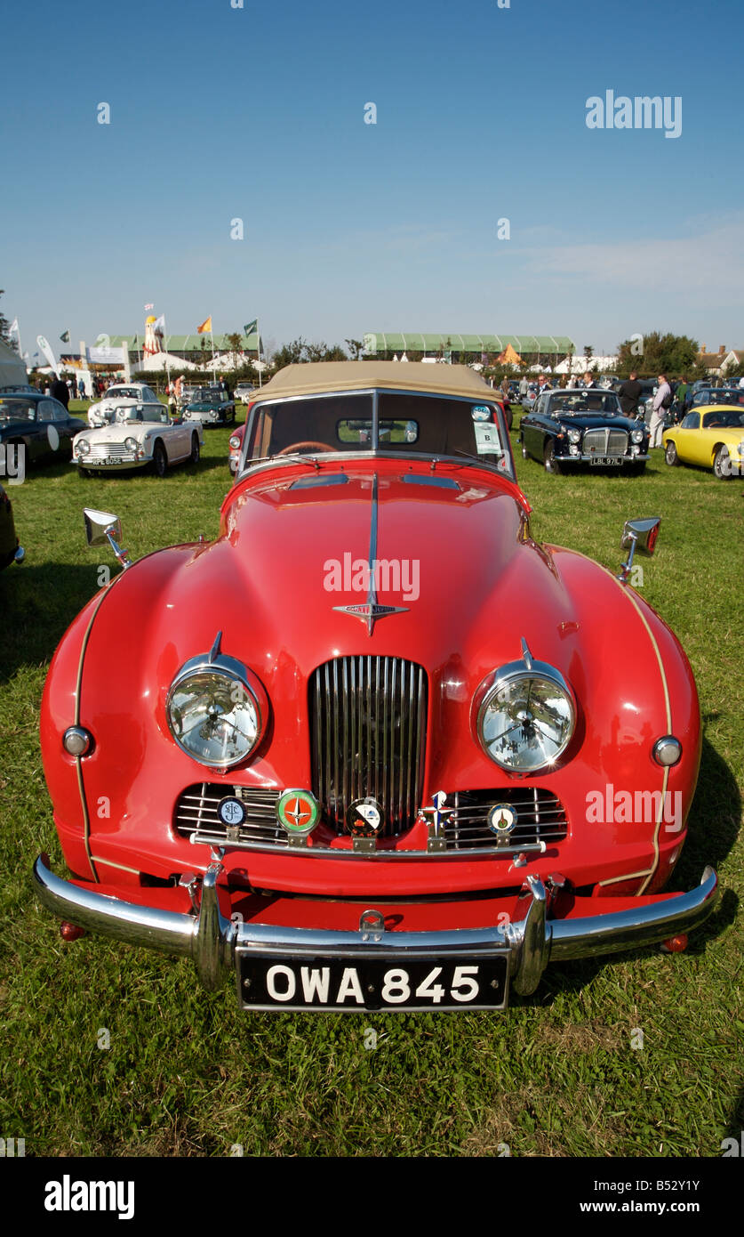 Jowett Jupiter classic degli anni cinquanta britannico vettura sportiva a Goodwood, 2008 Foto Stock