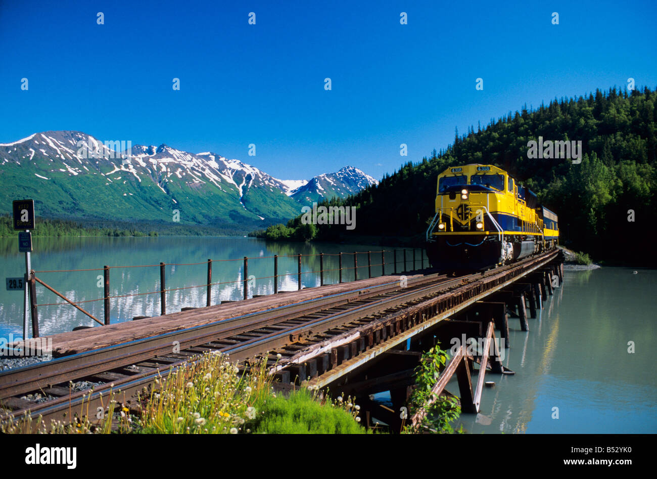 Alaska Railroad attraversa il sentiero alto ponte in prossimità di alci che passano sulla Penisola di Kenai in Alaska centromeridionale durante l'estate Foto Stock