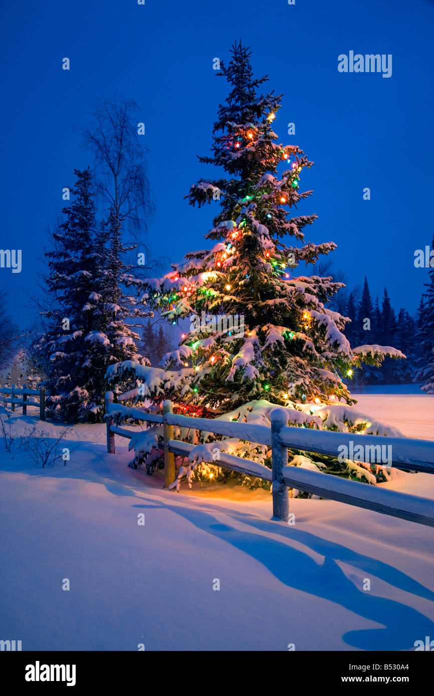 Albero di natale neve immagini e fotografie stock ad alta risoluzione -  Alamy