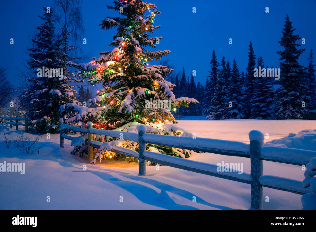 Albero di Natale decorato lungo coperto di neve della rampa di recinzione  notte centromeridionale Anchorage in Alaska inverno Foto stock - Alamy