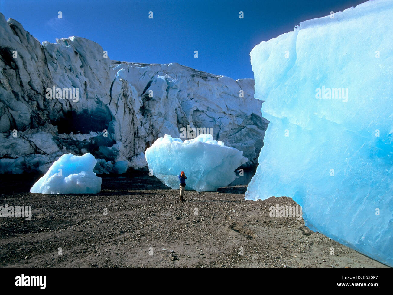 Persona fotografare iceberg vicino a Reid ghiacciaio nel Parco Nazionale di Glacier Bay in Alaska sudorientale durante l'estate Foto Stock