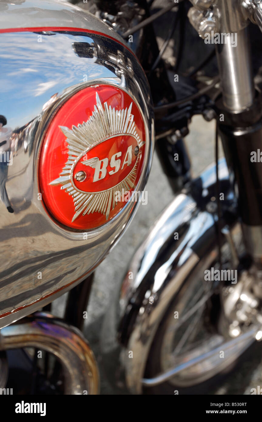 BSA Goldstar motociclo Foto Stock