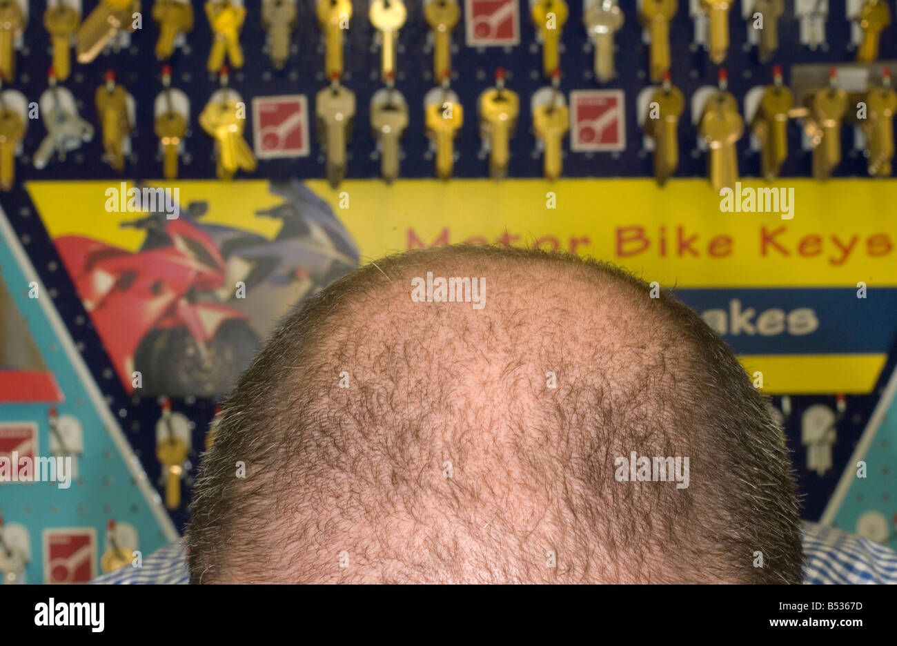 Taglierina di chiave Foto Stock