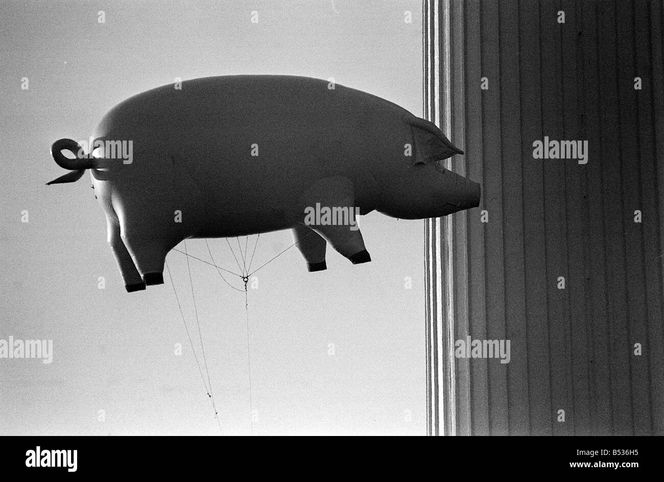 Pink Floyd gonfiabile di Flying Pig a Battersea Dicembre 1976 Power Station a Londra durante le riprese del pop video promo Foto Stock