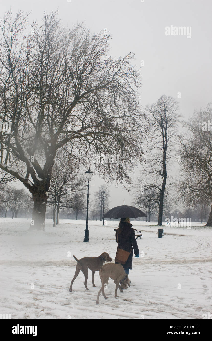 Una donna con un cane a piedi nella neve ombrello in Londra Lambeth Clapham Common Park nei mesi invernali a Wandsworth Battersea Foto Stock