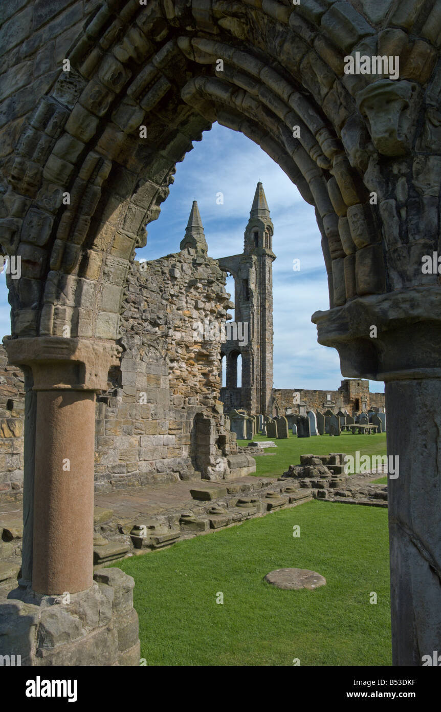 St Andrews Cattedrale rovine Fife Scozia Agosto 2008 Foto Stock