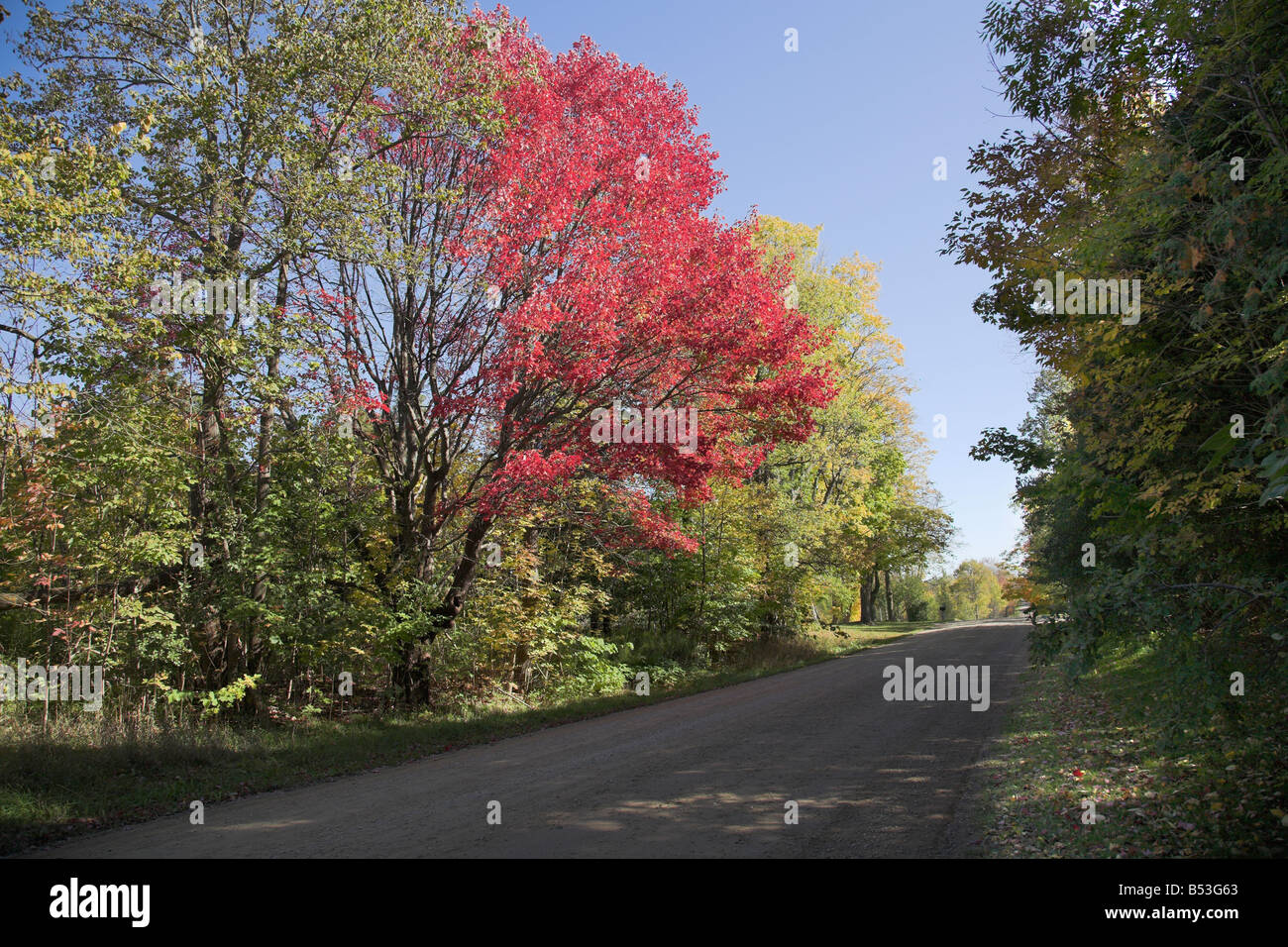 Vicolo del paese in autunno. Foto Stock