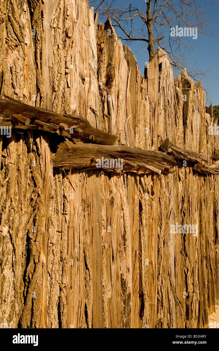 Virginia Jamestowne storico Jamestown Fort James replica closeup legno picchi stobs sostituire i chiodi in legno log stockade pareti 1607 Foto Stock