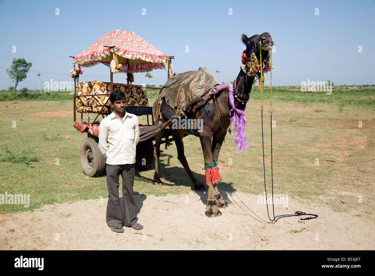 Un cammello indiano taxi e il suo driver, Rajasthan, India Foto Stock