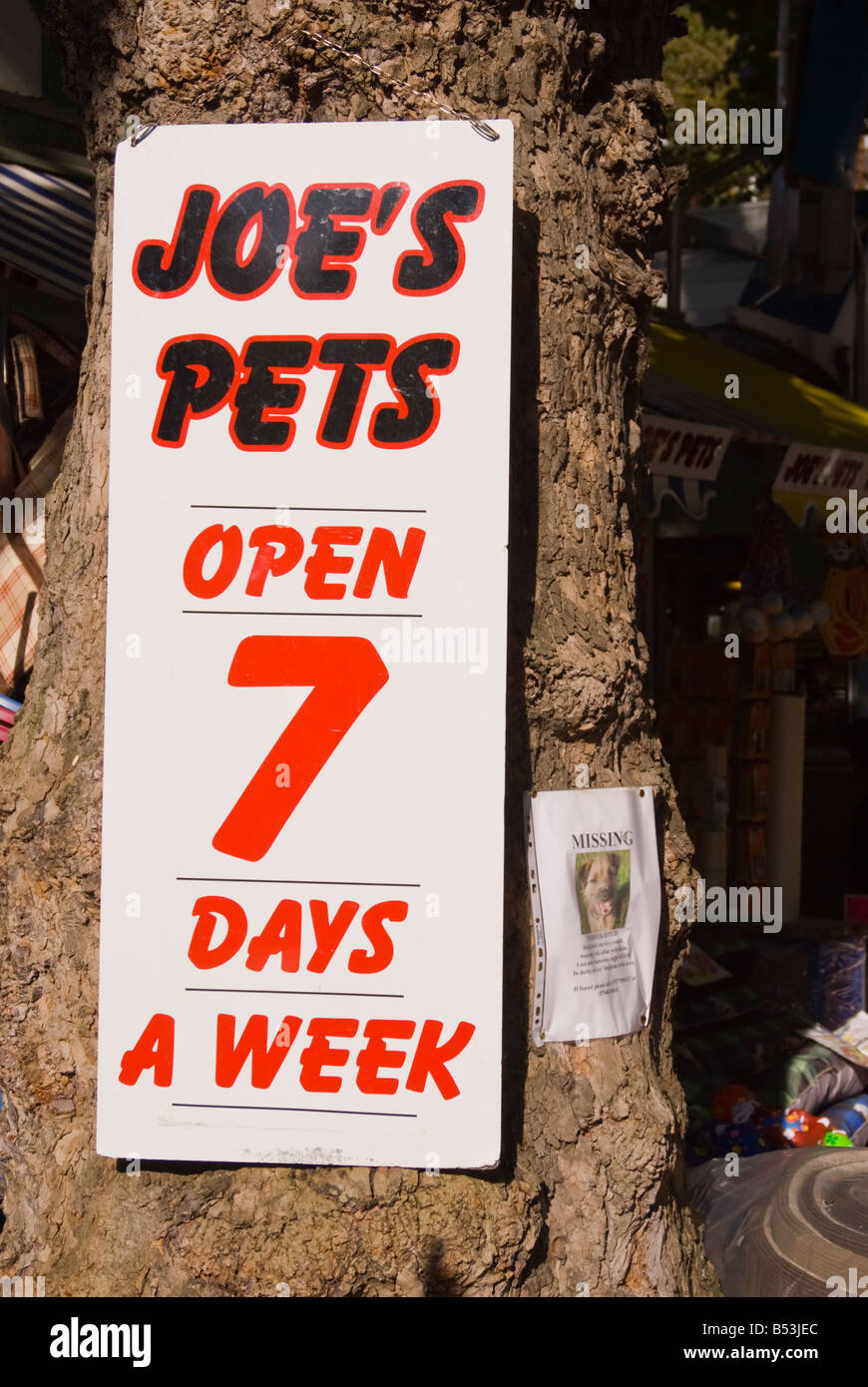 Segno pubblicità Joe's animali domestici shop aperto 7 giorni la settimana nel centro città di Norwich, Norfolk, Regno Unito Foto Stock