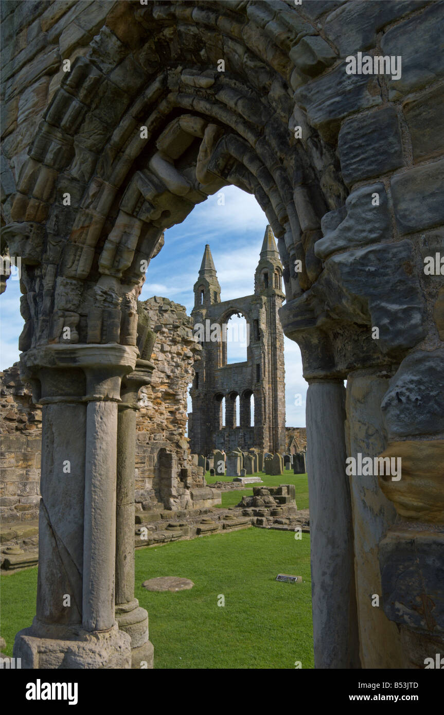 St Andrews Cattedrale rovine Fife Scozia Agosto 2008 Foto Stock